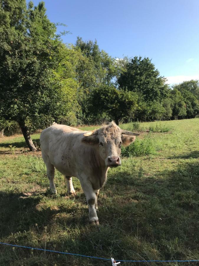 Willa La Bergerie Du Domaine Des Buissonnets Écardenville-sur-Eure Zewnętrze zdjęcie