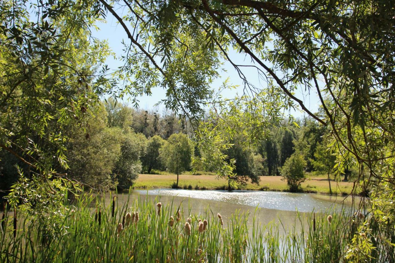 Willa La Bergerie Du Domaine Des Buissonnets Écardenville-sur-Eure Zewnętrze zdjęcie